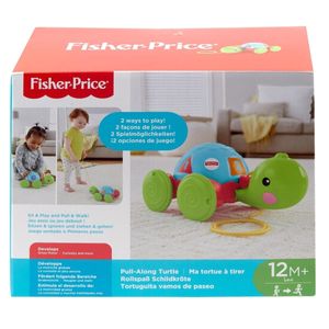 Fisher Price Tortuga de Aprendizaje