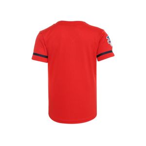 Jersey Boston Para Caballero