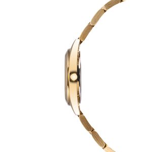 Reloj Dama Moda Acero Modelo Tagd3525 Color Dorado Marca Montescano