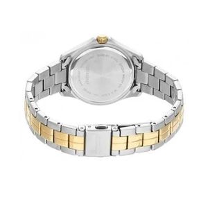 Reloj De Pulso Acero Citien Modelo EU6084-57A Para Dama